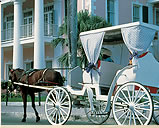Contact Luxury Hotels of The Caribbean - this brand identifies the most luxurious hotel, resort and inn accommodations available in the Caribbean.