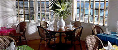The Cove Eleuthera