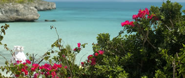 The Cove Eleuthera