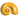 seashell